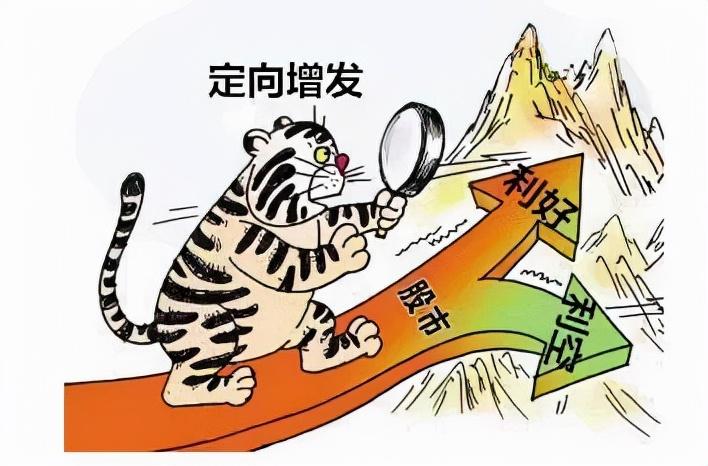 公开增发发行价格_公开增发增发价格怎么定价_公开增发