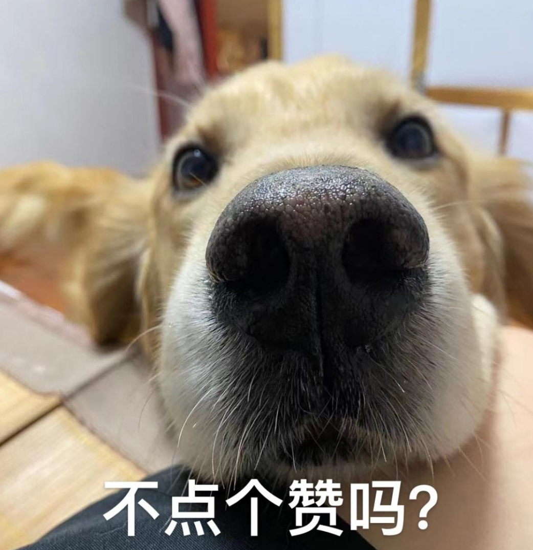 助学贷款免息是什么意思_助学贷款免息几年_助学贷款免息