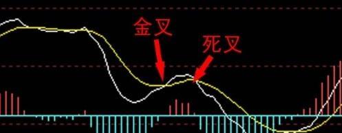 白线黄线蓝线分别代表什么线_白线黄线代表什么意思_黄白线