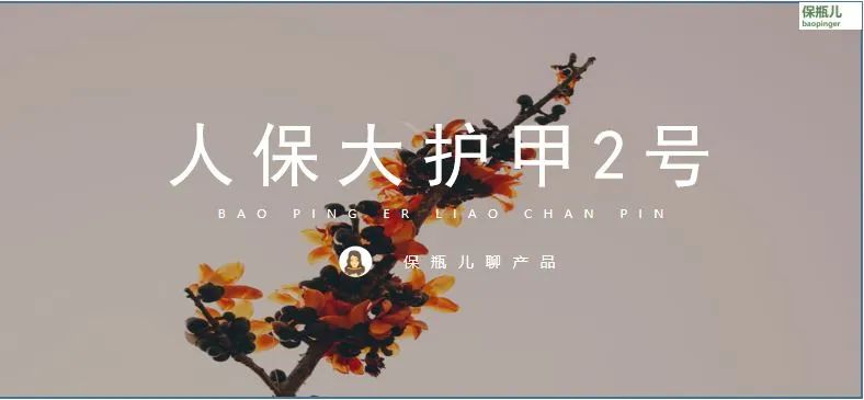 大护甲2号从哪买_大护甲2号_大护甲2号在线购买
