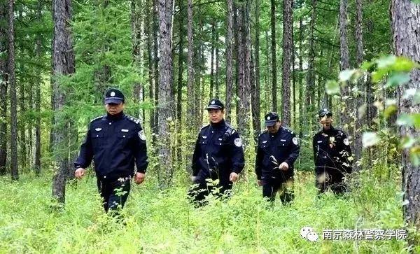 中央电视台7套美丽中国乡村行_中国五大行_xxx.xxx行中国