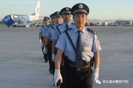 中国五大行_xxx.xxx行中国_中央电视台7套美丽中国乡村行