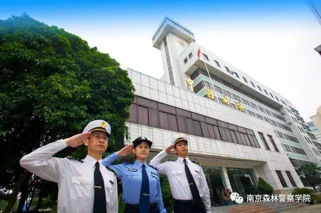 xxx.xxx行中国_中央电视台7套美丽中国乡村行_中国五大行