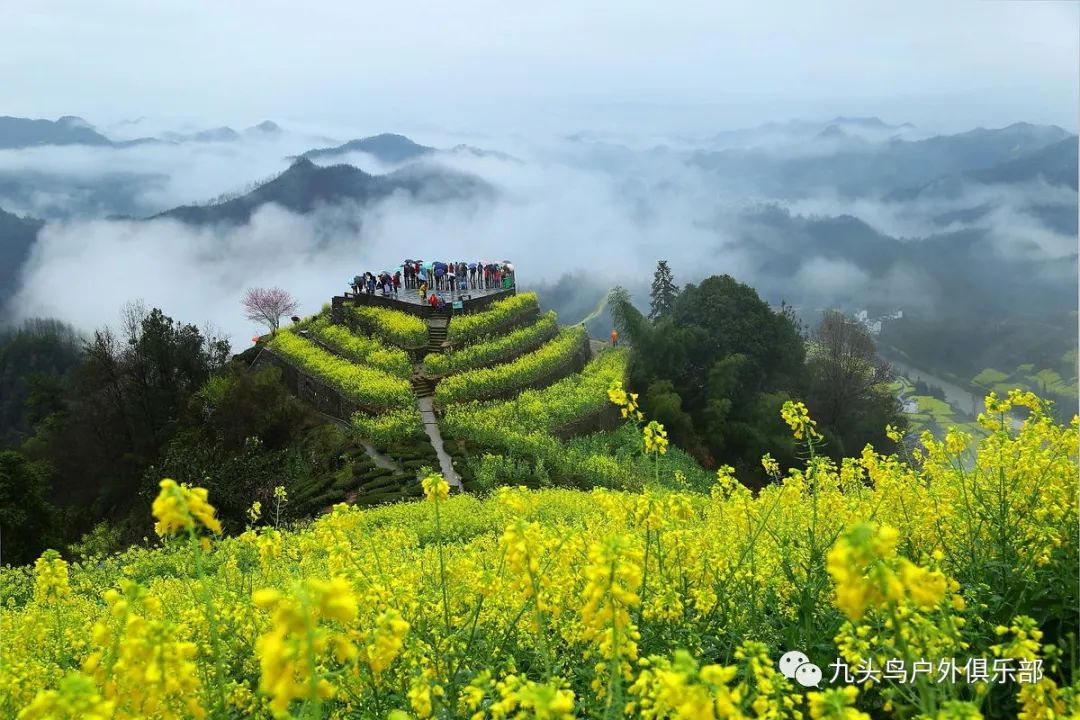 621661_62166183是哪个银行_6216612开头是什么银行
