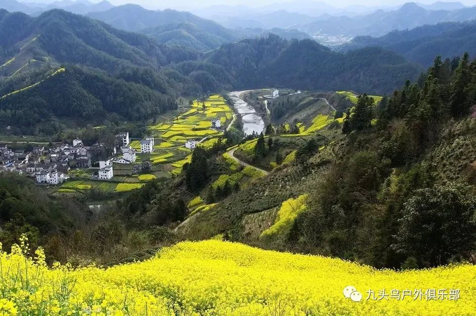 621661_6216612开头是什么银行_62166183是哪个银行