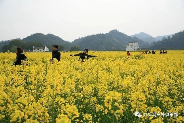 621661_62166183是哪个银行_6216612开头是什么银行