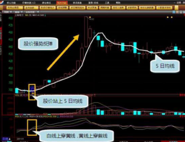 日线周线月线怎么看k线口诀表_5日线_日线网线