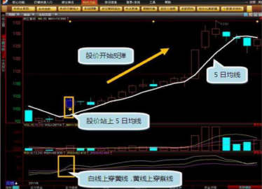 5日线_日线周线月线怎么看k线口诀表_日线网线