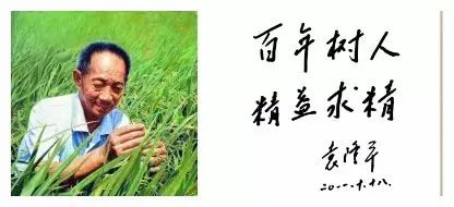 中外蜚声三晋扬_蜚声中外怎么读音是什么意思_蜚声中外