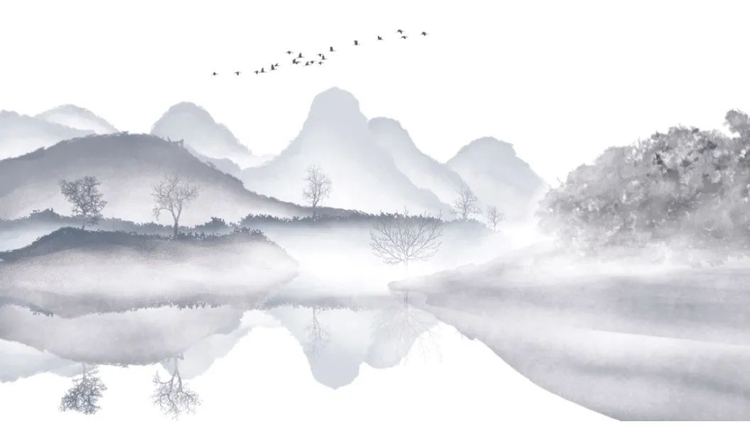 鉴龟平台_龟鉴_鉴龟数策