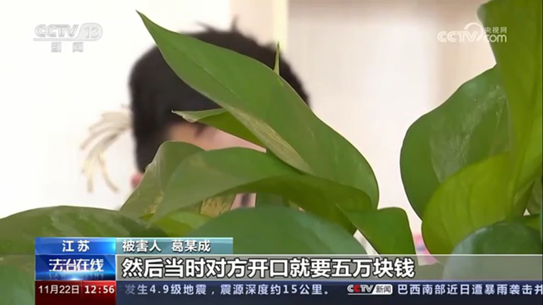团伙诈骗怎么定性_团伙_团伙作案怎么定罪