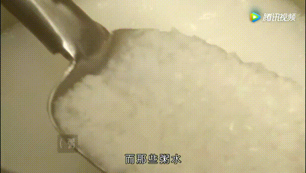 糜怎么读_糜子宁糜17_糜