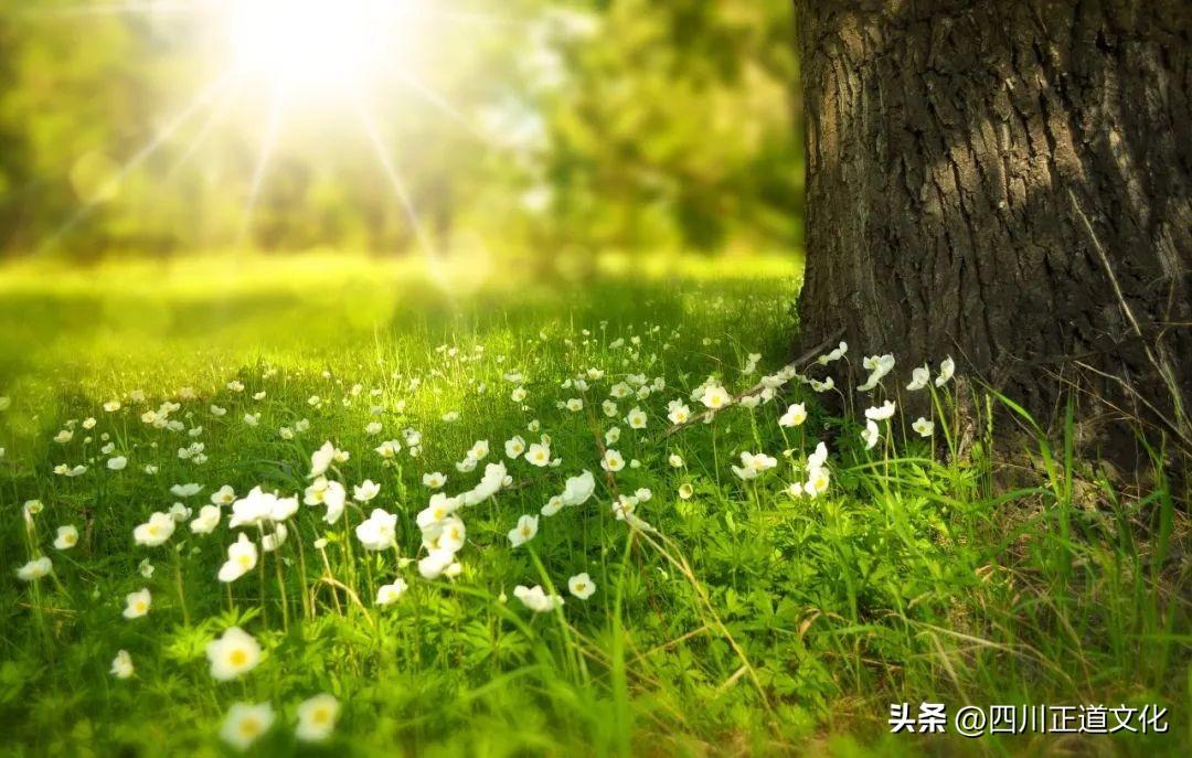 表里相依_相依是啥_表里相依的意思