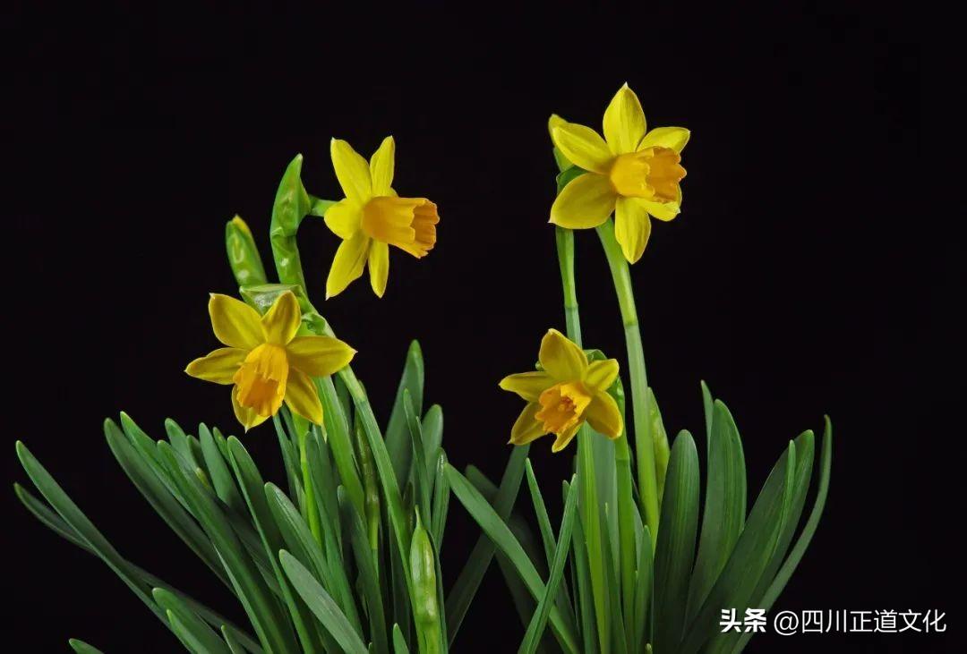 表里相依的意思_相依是啥_表里相依