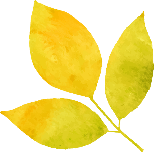 阪东皮带_bandon_坂东龙汰