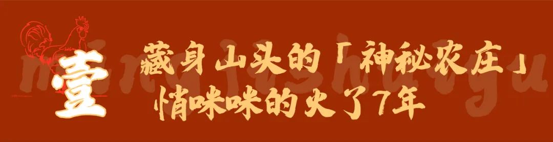补料_补料是什么意思_补料英文