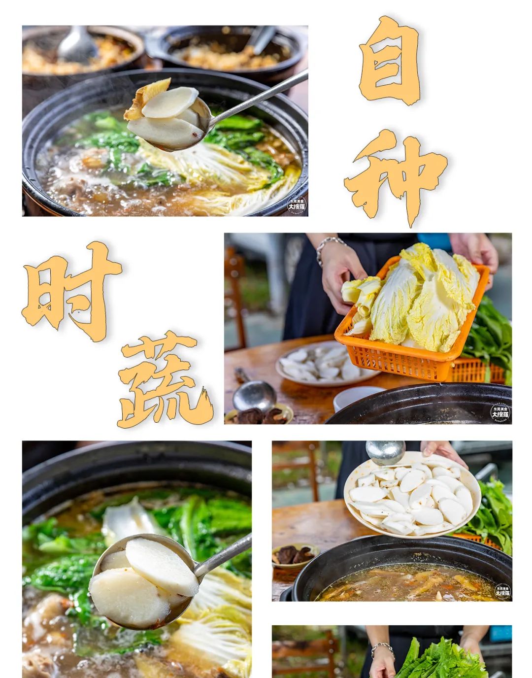 补料_补料英文_补料是什么意思