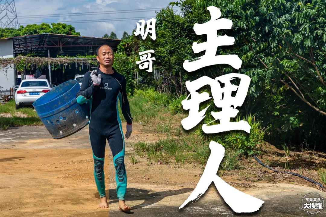 补料是什么意思_补料英文_补料