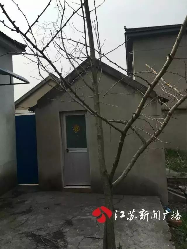 抹胸_抹胸_抹胸
