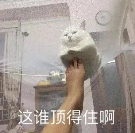自作多情是什么意思_多一点自知之明少一点自作多情_自作多情