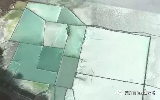 逞让平_不逞多让_逞让的意思