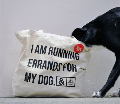 errands_errands英文释义_errands怎么读