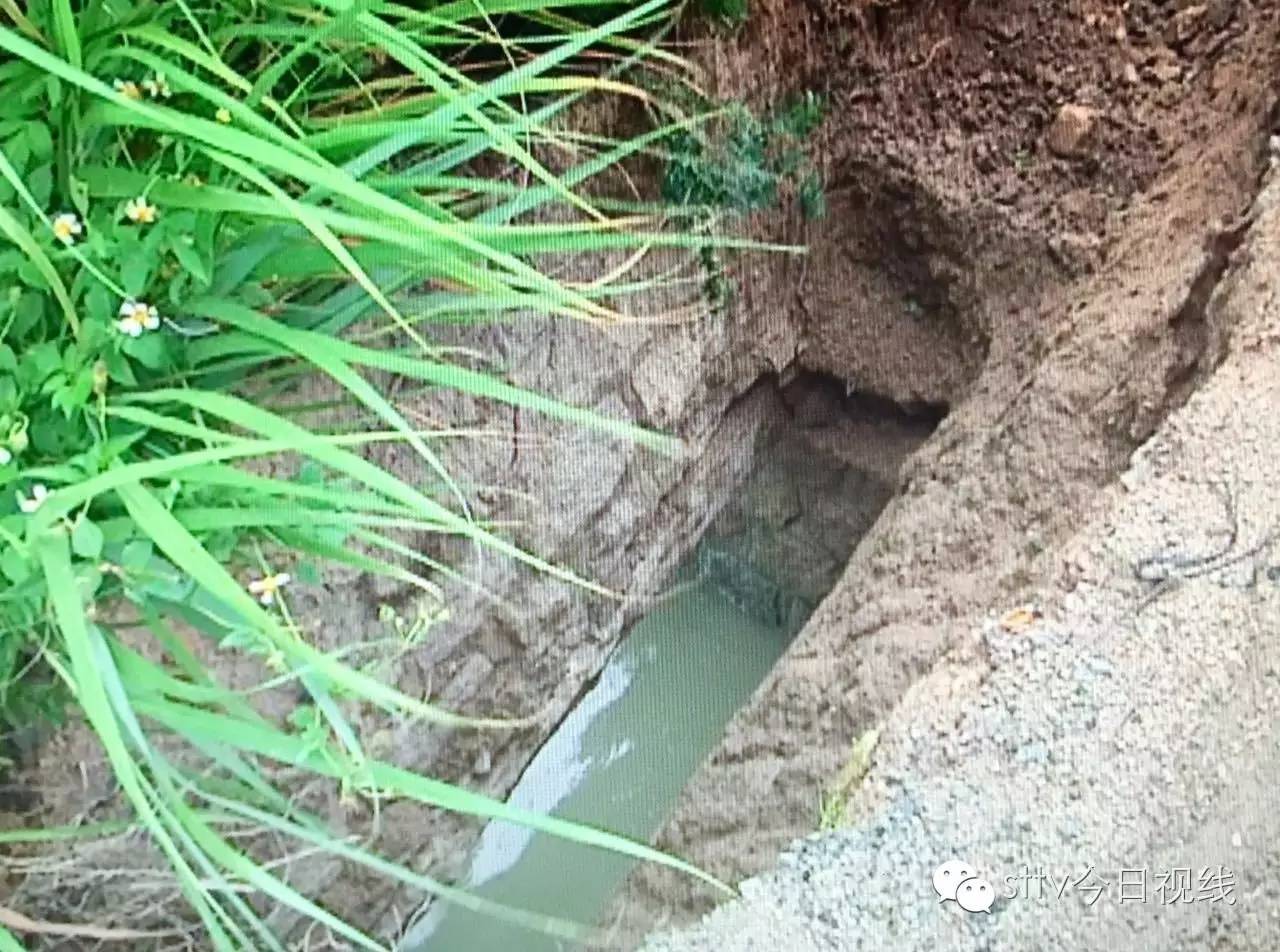 堤防_安康汉江堤防工程_堤防地基明水处理