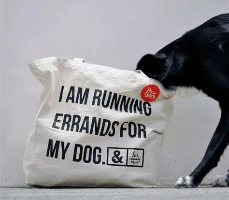 errands_errands英文释义_errands怎么读