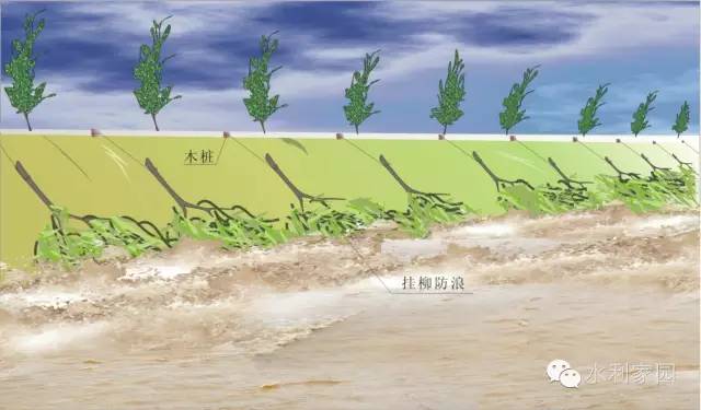 堤防_堤防工程手册_堤防工程校核洪水