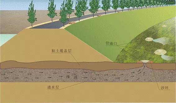 堤防工程手册_堤防_堤防工程校核洪水