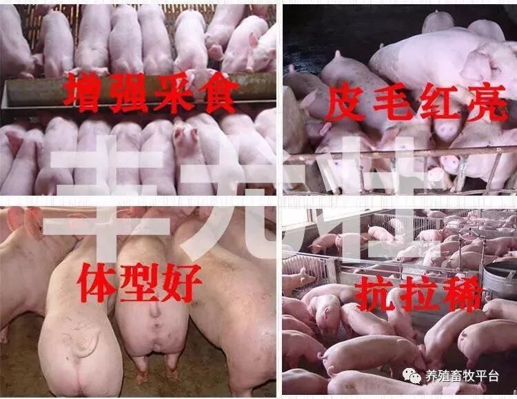 德国日期怎么看日月年_外国日期怎么看日月年_2023年6月25日