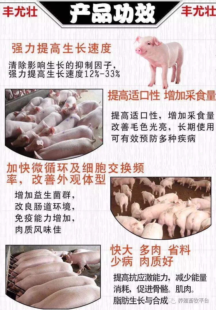 德国日期怎么看日月年_外国日期怎么看日月年_2023年6月25日