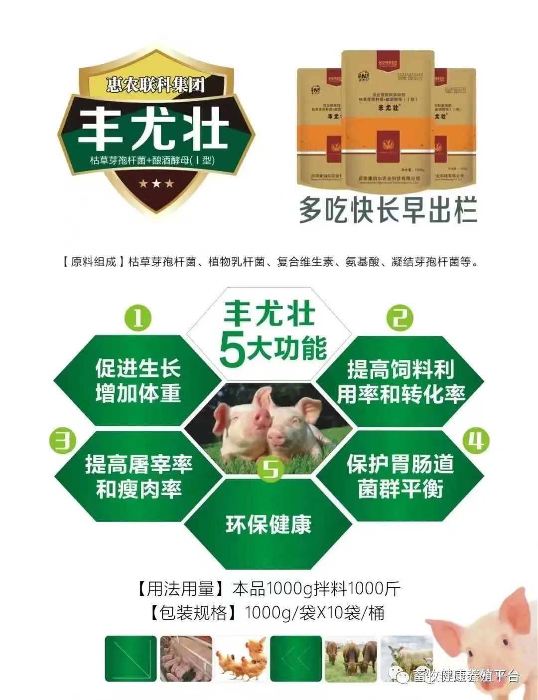 德国日期怎么看日月年_外国日期怎么看日月年_2023年6月25日