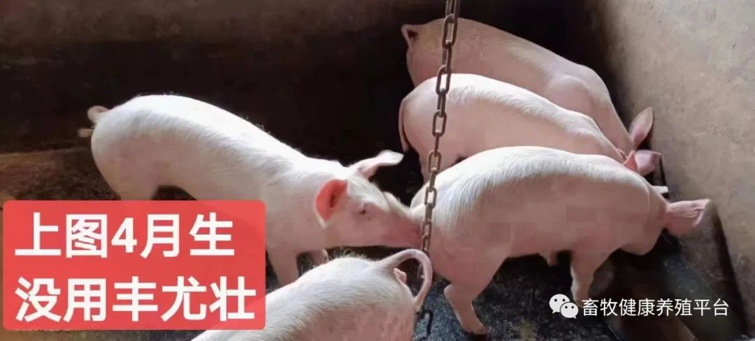 外国日期怎么看日月年_德国日期怎么看日月年_2023年6月25日