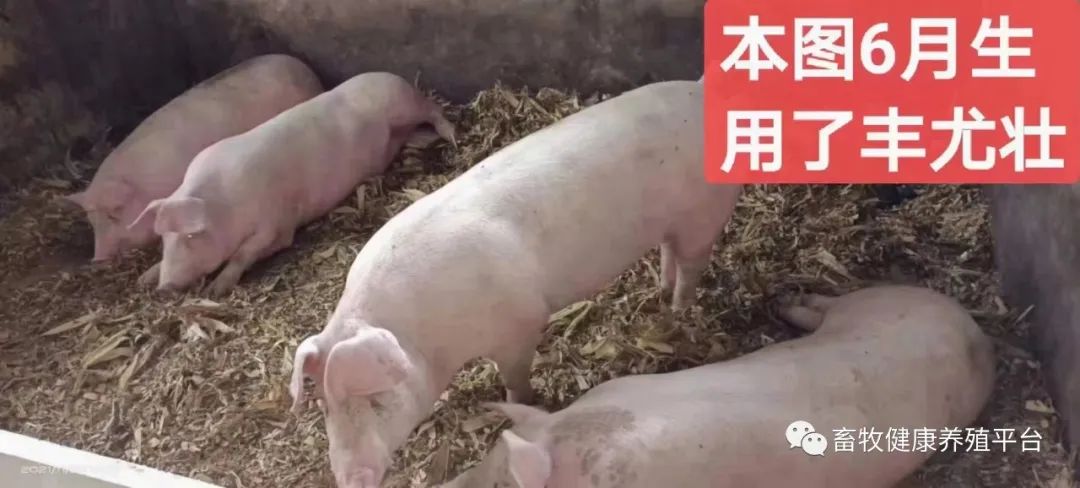 2023年6月25日_德国日期怎么看日月年_外国日期怎么看日月年