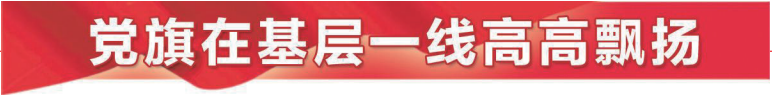 堤防老千_安康汉江堤防工程_堤防