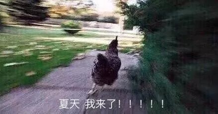 墨西哥节日有哪些_墨西哥节日活动_墨西哥节日