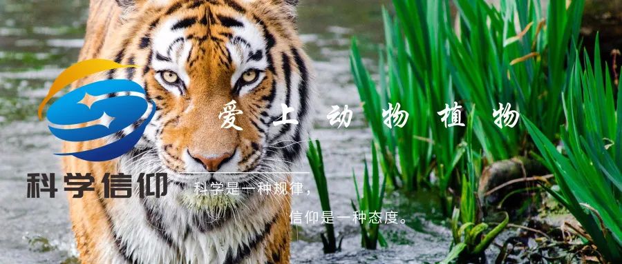 排除异己_排除异己_排除异己