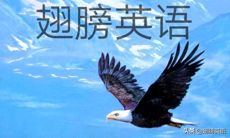 trodden翻译_trodden的原型_trodden