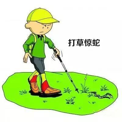 打蛇打七寸_打蛇打七寸_打蛇打七寸
