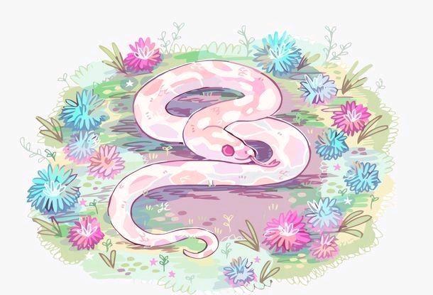 打蛇打七寸_打蛇打七寸_打蛇打七寸
