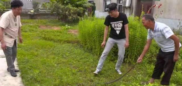 打蛇打七寸_打蛇打七寸_打蛇打七寸