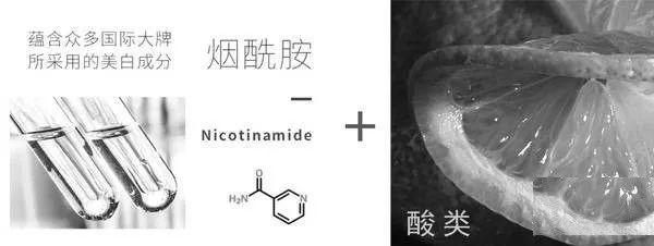 lysate免疫共沉淀_lysate_lysate翻译