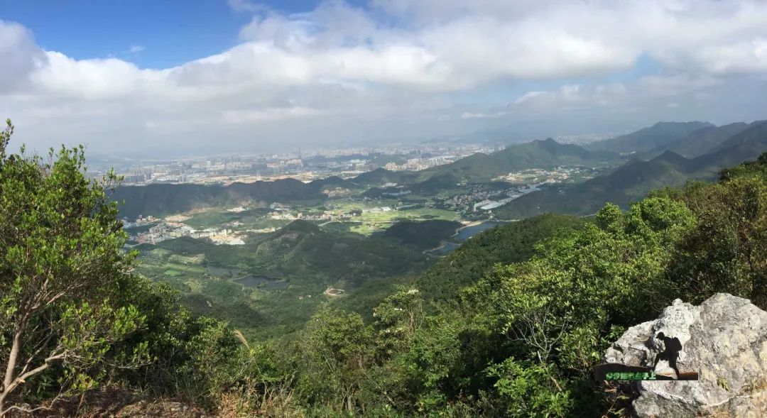 金龟村_金龟村_金龟村