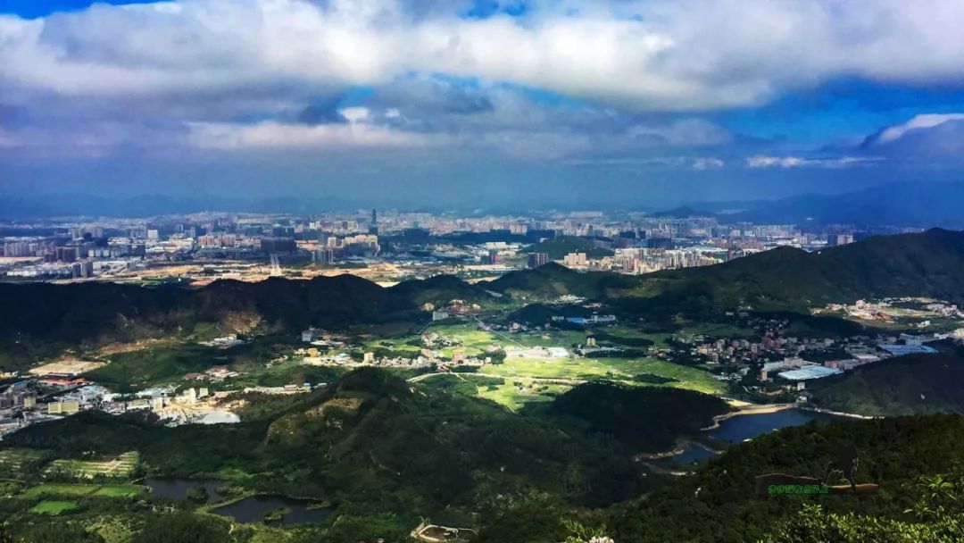 金龟村_金龟村_金龟村