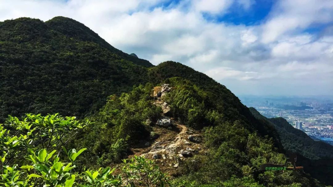 金龟村_金龟村_金龟村