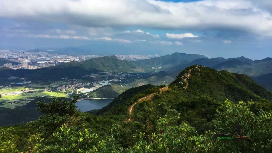 金龟村_金龟村_金龟村