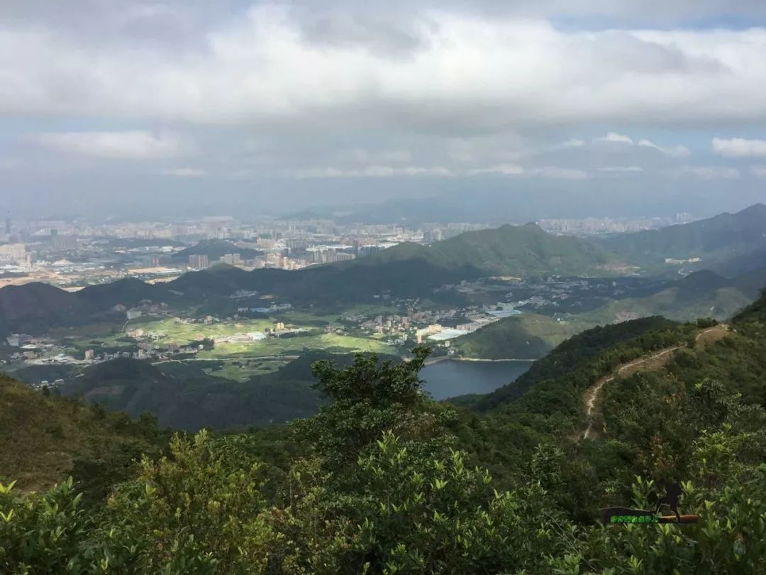 金龟村_金龟村_金龟村