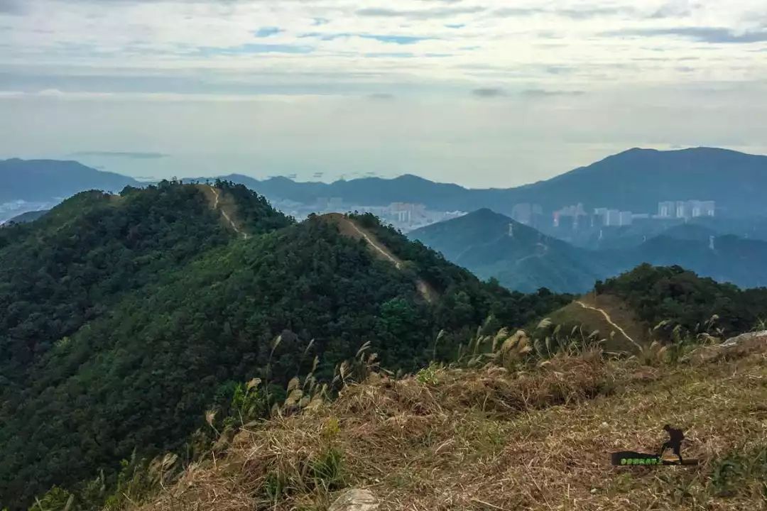 金龟村_金龟村_金龟村