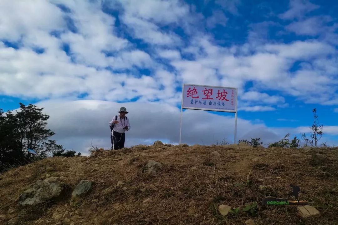 金龟村_金龟村_金龟村